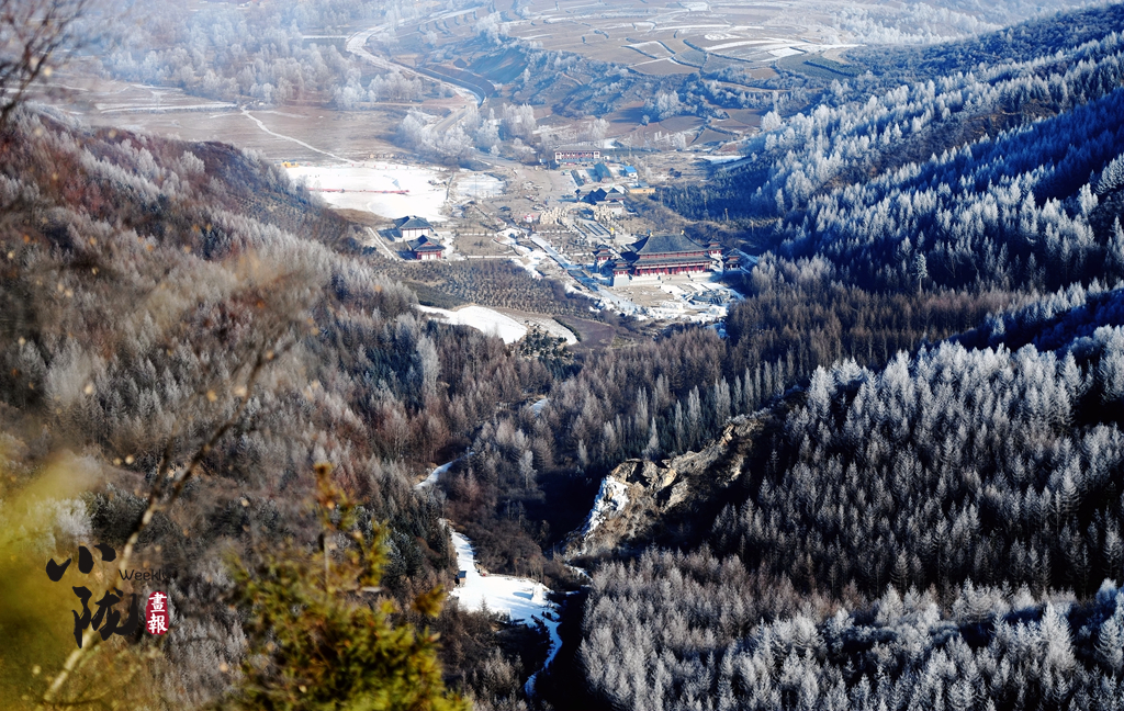 小隴畫(huà)報(bào)|甘肅渭源霧凇：玉樹(shù)瓊花靚山野（82期）