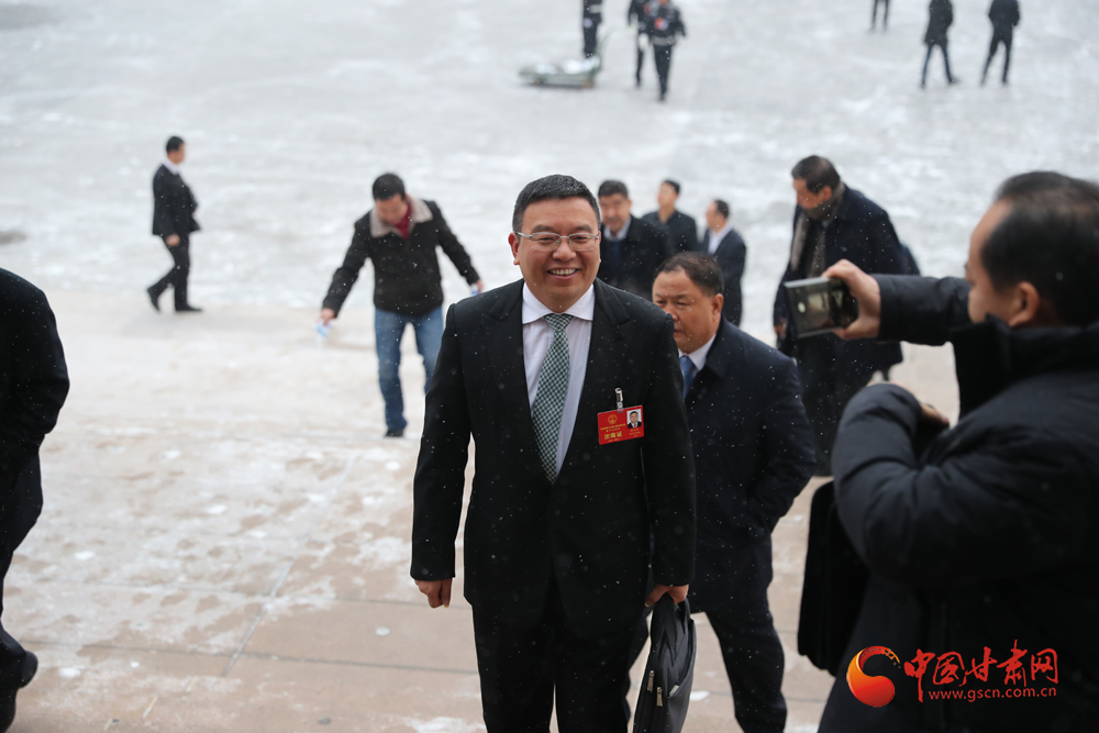 【聚焦2020甘肅兩會】“兩會”代表、委員風采掠影（組圖）