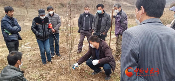 【甘肅全民戰(zhàn)“疫”】隴南徽縣：花椒田里培訓忙，戰(zhàn)疫春耕兩不誤