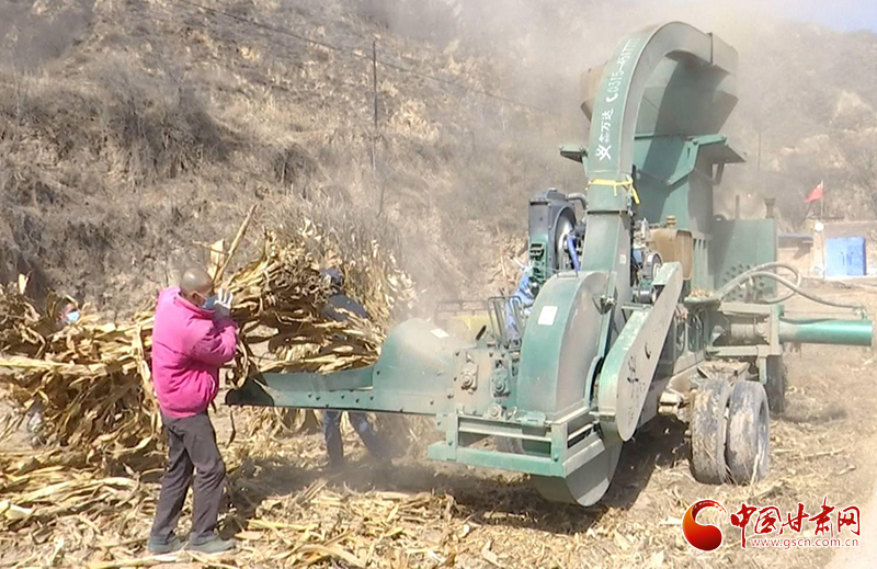 甘肅華池：綠色循環(huán)經濟讓玉米秸稈成農戶致富增收“寶貝疙瘩”（圖）