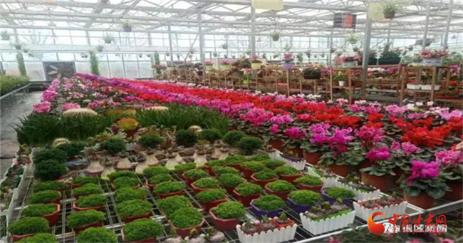 清明假期到這來——“黃河石林自駕游”活動白銀區(qū)準(zhǔn)備好了