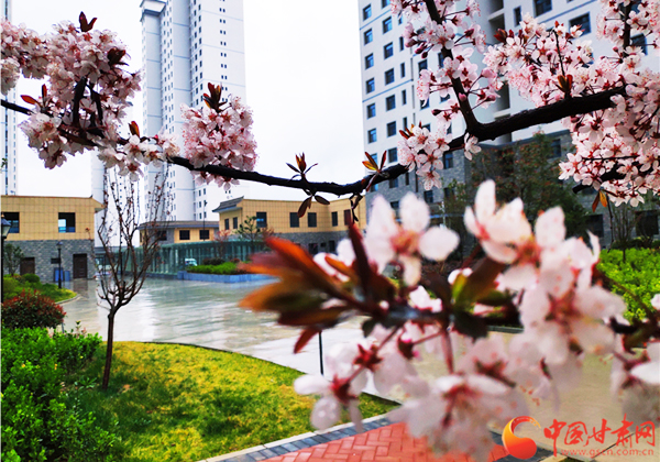 【甘肅省決戰(zhàn)決勝脫貧攻堅】天水麥積區(qū)：扶貧產業(yè)園讓貧困戶陪讀務工兩不誤（圖）