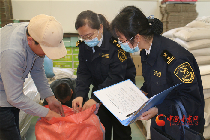 一季度甘肅省出口種子實(shí)現(xiàn)開(kāi)門(mén)紅