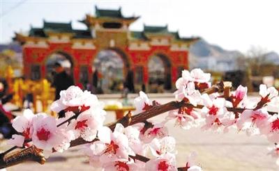 春暖花開旅游季丨春紅正當(dāng)時(shí) 賞花好時(shí)節(jié)