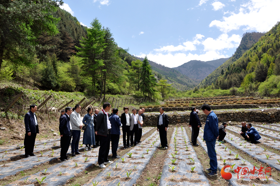白龍江博峪河保護局開展產(chǎn)業(yè)發(fā)展、義務(wù)勞動成果現(xiàn)場觀摩交流活動