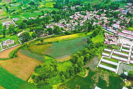 【溫暖的回響 滄桑巨變 飲水思源】這條路，通往幸福