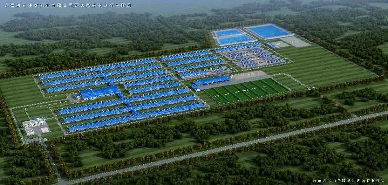 【喜迎蘭洽會(huì)】2833頭澳大利亞進(jìn)口牛在金昌“安家落戶(hù)”