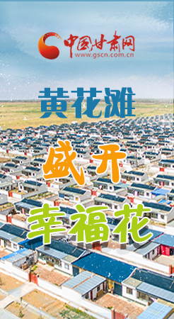 【跟著總書記看甘肅】長(zhǎng)圖|武威黃花灘盛開幸?；?