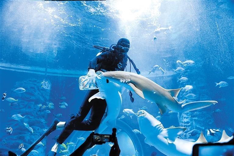 蘭州海洋公園 金昌火星1號基地 這個暑假我們“上天入?！?>
        </a><em>蘭州海洋公園 金昌火星1號基地 這個暑假我們“上天入?！?/em></li>
    <li><a  target=