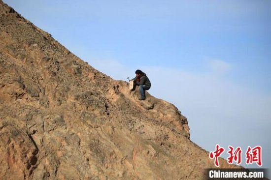 圖為敦煌“80后”畫家張杰龍在敦煌三危山里采集礦石顏料。(資料圖)受訪者供圖