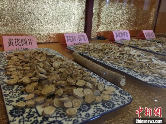 “千年藥鄉(xiāng)”甘肅促絡病學構(gòu)建 冀提升中醫(yī)藥全產(chǎn)業(yè)鏈