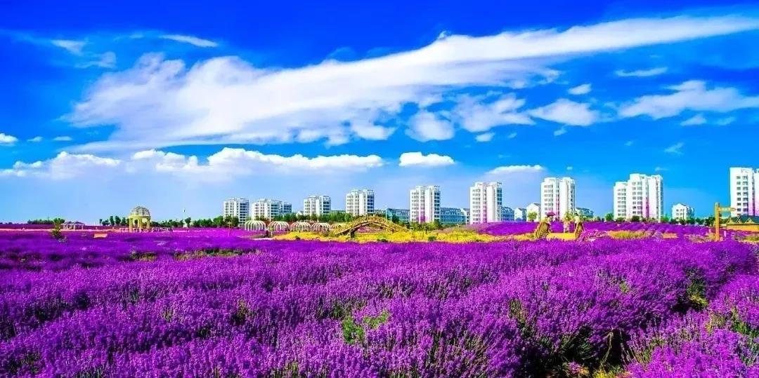 喜訊！金昌蟬聯(lián)全國文明城市