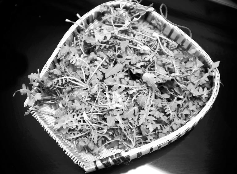 甘肅美食丨摘野菜，咬個“春”，讓味蕾清新起來