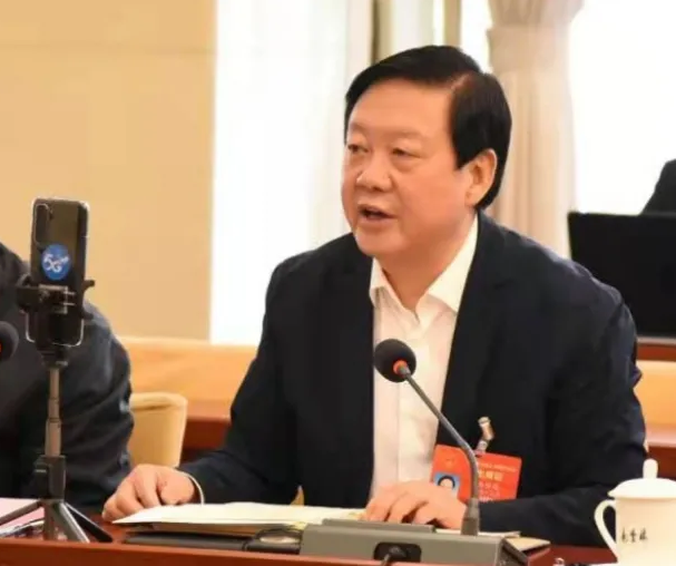 【聚焦2021全國兩會】全國人大代表、市委書記楊維俊接受中國日報記者采訪