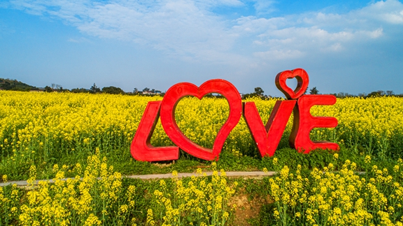 “l(fā)ove”創(chuàng)意拍照墻。廖濤 攝