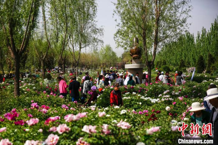 甘肅臨夏“以花為媒”厚禮迎客 一步一景打造花經(jīng)濟