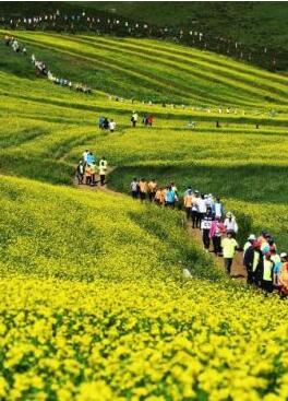 甘肅明確農(nóng)民進城落戶:不以退出承包地、林地等為條件