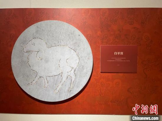 圖為展覽現(xiàn)場(chǎng)。　江楊燁 攝