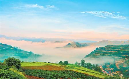雨后的宕昌縣拉路梁的萬畝中藥材綠色標(biāo)準化種植基地沐浴在晨霧里
