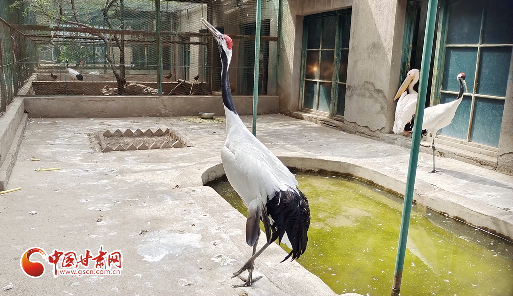 蘭州公安提醒市民：非緊急非必要，不出境