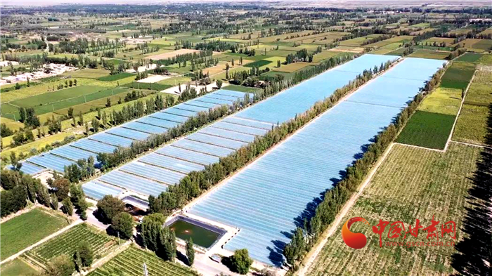 【小康圓夢(mèng)·看甘肅】酒泉瓜州：高標(biāo)準(zhǔn)農(nóng)田化零為整 高品質(zhì)蜜瓜增效增收