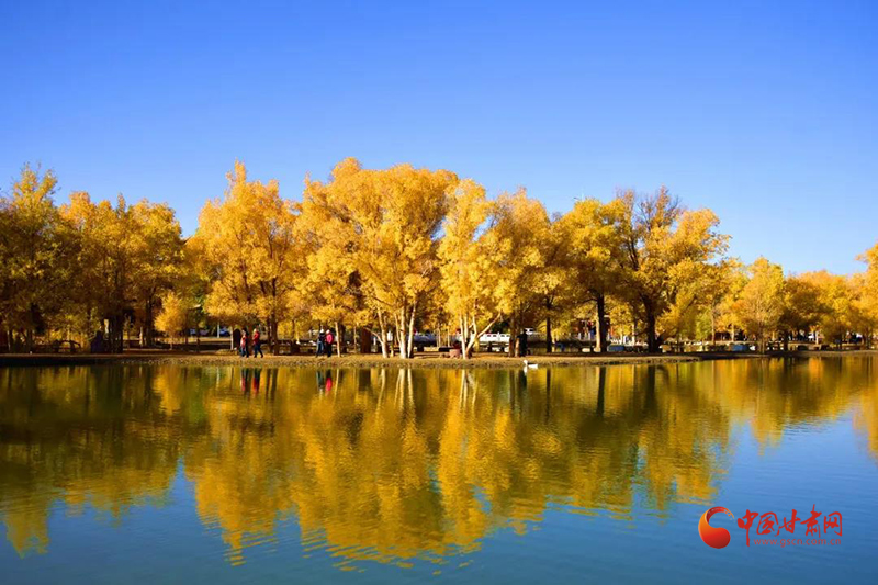 金塔：發(fā)展生態(tài)旅游 撬動“綠色經(jīng)濟(jì)”