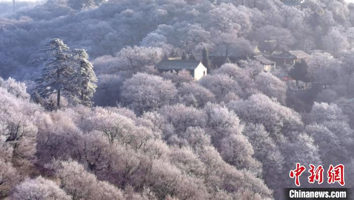 圖為霧凇美景?！⌒煺袢A 攝