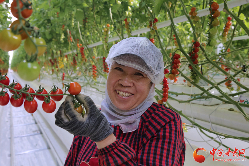 【小康路上看老鄉(xiāng)】 武威古浪：富民新村到處是機(jī)會  日子越過越紅火