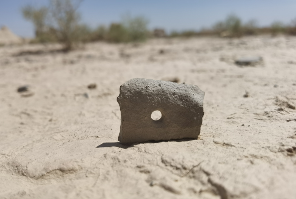 插圖1：河西走廊上遺存的古陶片。攝影：陳曉斌。拍攝日期：2020年6月。