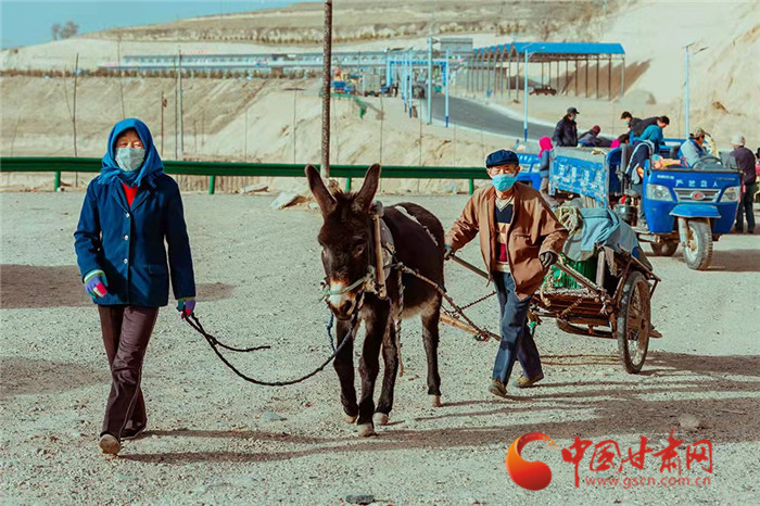 【小康路上看老鄉(xiāng)】蘭州榆中：北山百合迎豐收 產(chǎn)銷(xiāo)兩旺助致富