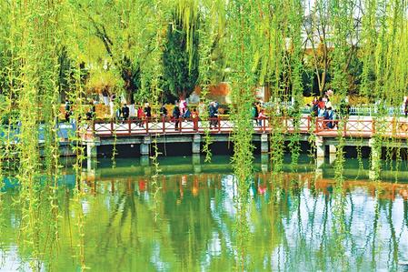 慶陽(yáng)西峰區(qū)：春日美景惹人醉