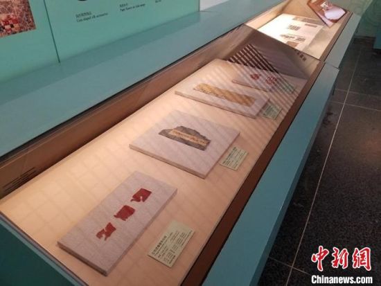 圖為展覽現(xiàn)場。　敦煌研究院供圖