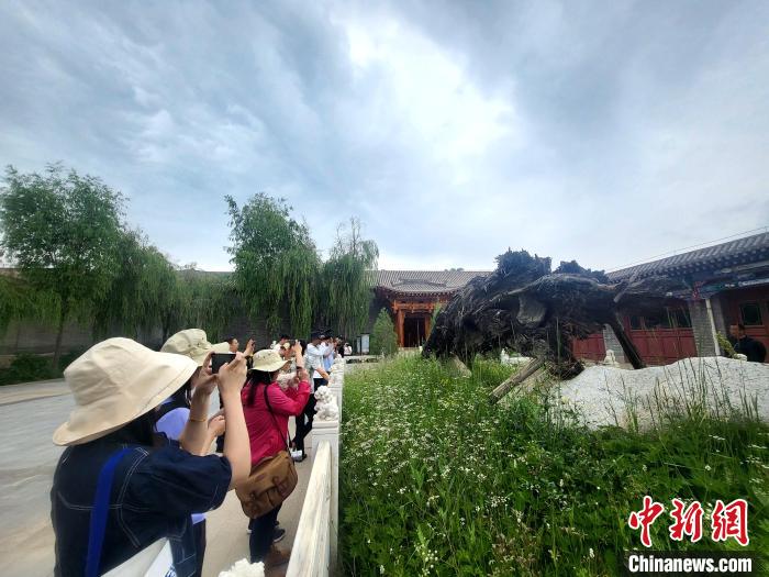 圖為媒體記者在青海永錄民俗參觀采訪?！⊙Φ?攝