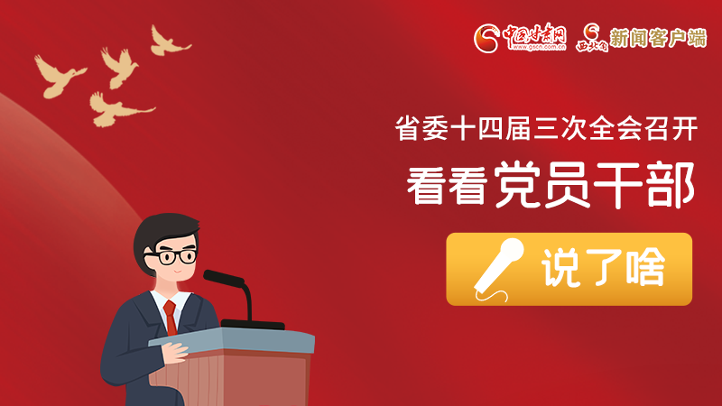 圖解|事關(guān)甘肅省委十四屆三次全會，黨員干部這么說！