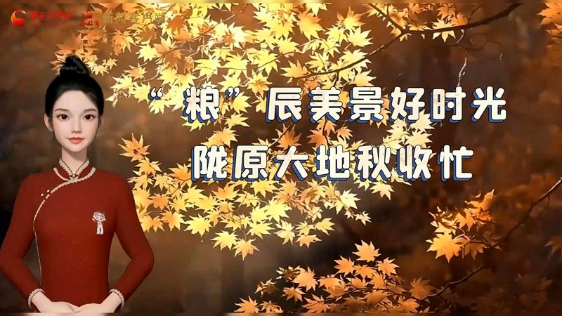 世界糧食日|“糧”辰美景好時(shí)光 隴原大地秋收忙