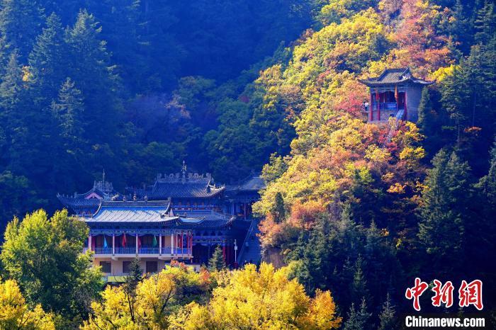 深秋，位于蘭州市榆中縣的興隆山景色如畫。宮衛(wèi)紅 攝