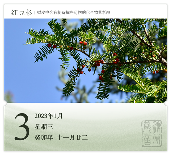 1703843344354910.png 箴歷日歷1-3.png