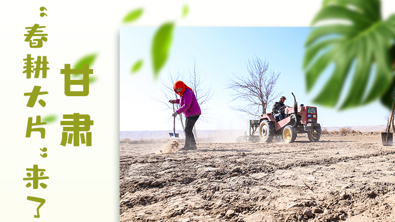 【甘快看】海報|瞧！甘肅“春耕大片”來了