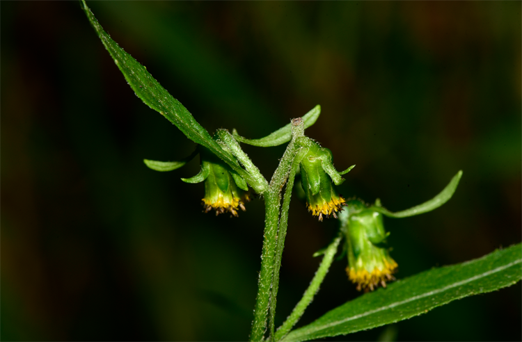 1730187174590934.png 1-2.png