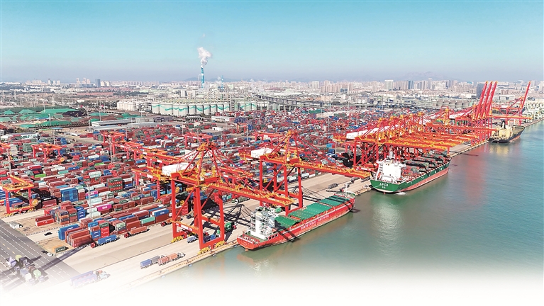 1731368310667213.jpg 20241112_075041_004.jpg