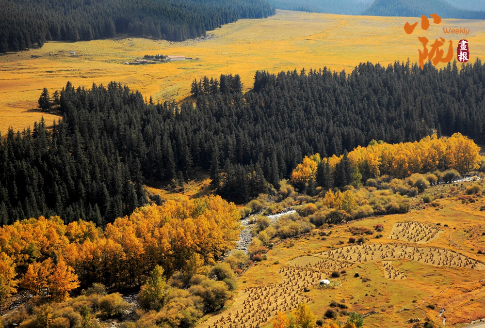 天祝的初冬 依然是深秋的色彩