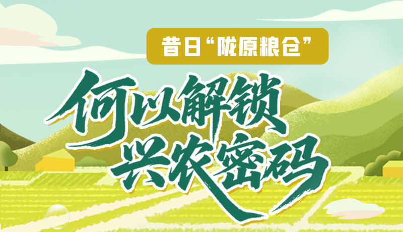 【理響中國(guó)·話隴點(diǎn)睛（3）】昔日“隴原糧倉(cāng)”，何以解鎖“興農(nóng)密碼”