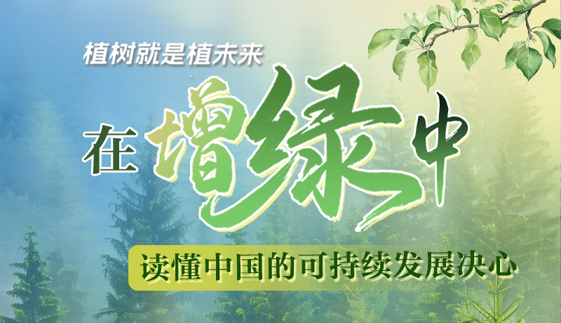 【理響中國(guó) 話隴點(diǎn)睛】植樹(shù)就是植未來(lái)，在增綠中讀懂中國(guó)的可持續(xù)發(fā)展決心